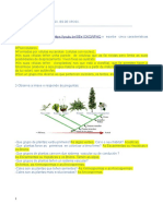 Plantas 23 - SOL PDF