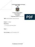 Membrana plasmática: estructura, funciones y transporte