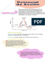 Potencial de Acción PDF