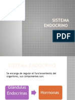 Sistema Endocrino