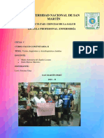 Visión, Diagnóstico y Autodiagnóstico Familiar PDF