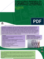 TRANSTORNOS ORGANICOS CEREBRALES -PSIQUIATRIA.pptx