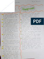 Com 2 PDF