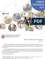 Anexo17 Curriculo PDF