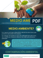 Medio Ambiente - Andy Melgarejo PDF