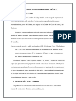 Plan de Negocio PDF