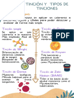 Tinción y Tipos de Tinciones PDF