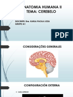 Anatomia Humana Ii Cerebelo PDF