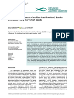 Öztürk & Geyran - 2020 - Raphitoma Species Along The Turkish Coasts PDF