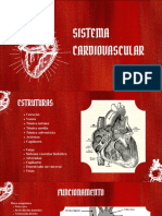 Sistema Cardiovascular Slides PDF