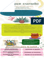 Infografia Platillo PDF