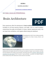 1 Arquitectura Del Cerebro