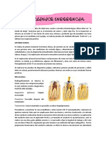 Caso Clinico Endo PDF