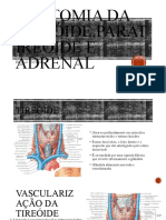 Anatomia Da Tireóide, Paratireóide e Adrenal