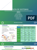 Revisión de Sistemas PDF