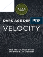 Velocity PDF