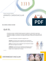 Vascular Periferico PDF