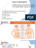 Tema 5 Sistema Endocrino