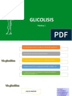 Bioquimica Practica PDF