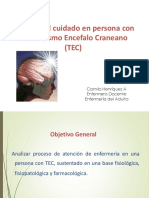Gestión Del Cuidado en Persona Con TEC PDF