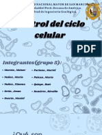 Control Del Ciclo Celular PDF