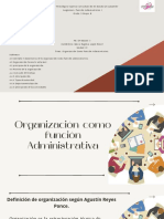 Organización Como Función Admistrativa PDF