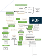 Dogma central biología procesos replicación transcripción traducción