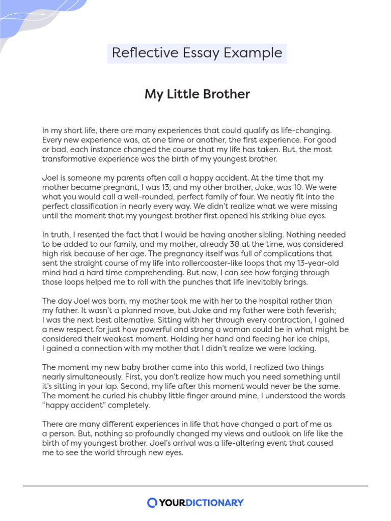 Reflective Essay Little Brother PDF PDF