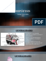 Hipofisis PDF