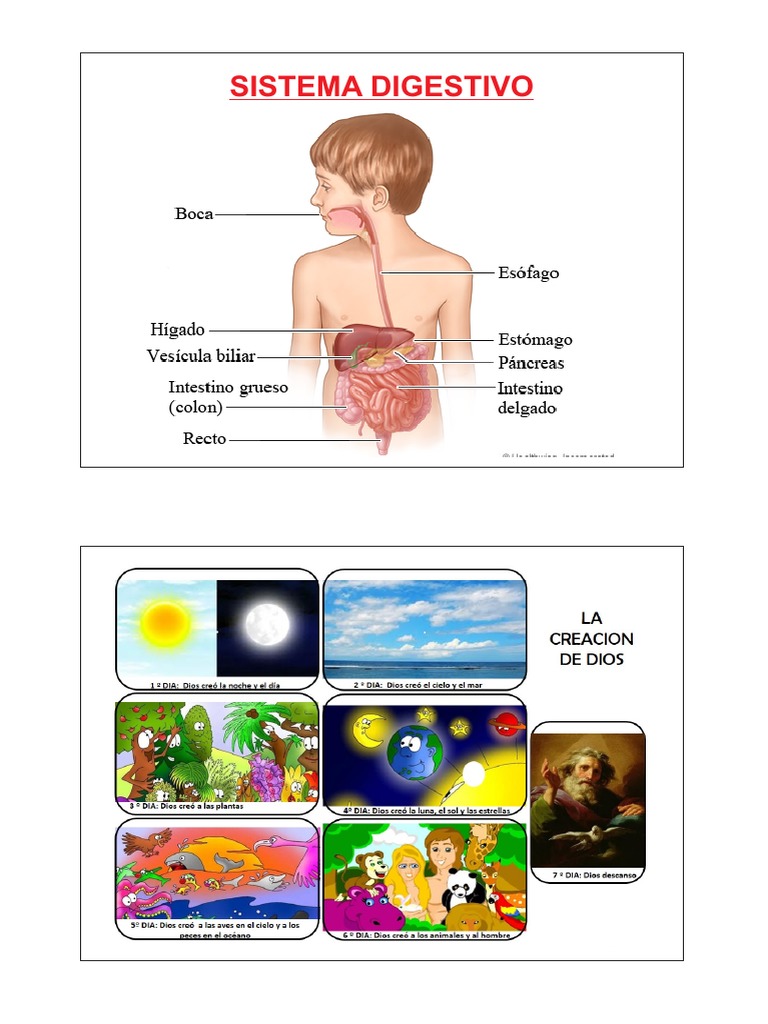 Impresiones PDF | PDF