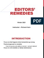 CR Remedies Powerpoint - 2022