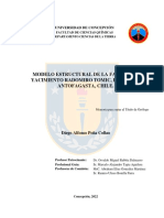 DIego Peña Tesis - Image.Marked PDF