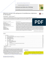 Ameloblatoma Implicaciones Patogenesis PDF