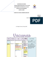 Cuadro de Vacunas e Inmunoglobulinas PDF