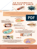 Celulas Eucariotas, Procariotas y Virus PDF