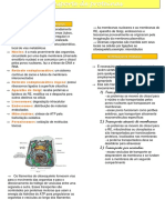 Transporte de proteínas para organelas