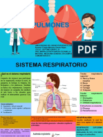 Infografia de Los Pulmones