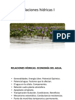 Relaciones Hídricas 2020 I PDF