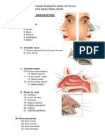 16 - Sist. Respiratório Com Figs PDF