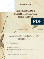 Aparelho Reprodutos Feminino PDF