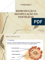 Fecundção Desenvolvimento Embrionário 2022 23 PDF