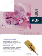 3 - A Célula PDF