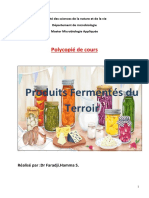 Cour Produits Fermentés de Terroir PDF