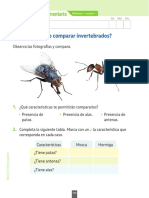 Guía  Invertebrados