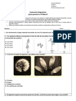 Diagnostico 4°