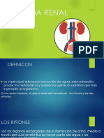 Sistema Renal PDF
