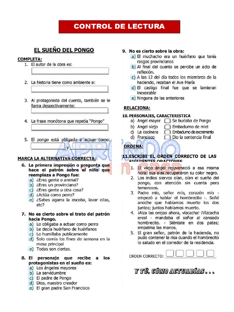 control-de-lectura-pdf