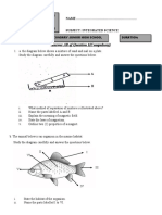 Science Mock