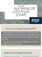 Manejo de CNAF PDF