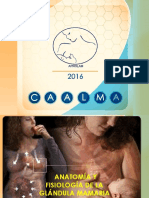 3 Anatomia y Fisiologia de La Glandula Mamaria PDF